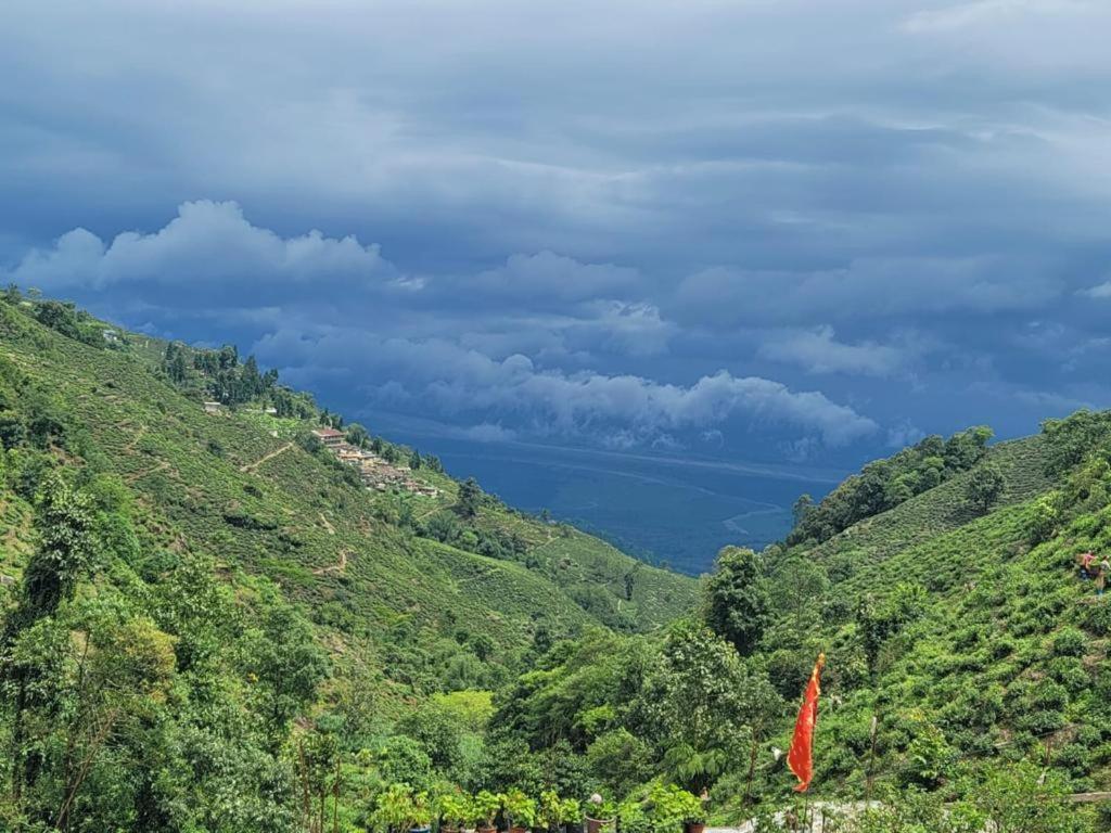 Homestay Thieng
